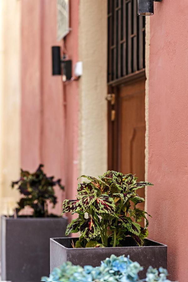 Corfu  Spitaki @Old Town Corfu! 아파트 외부 사진